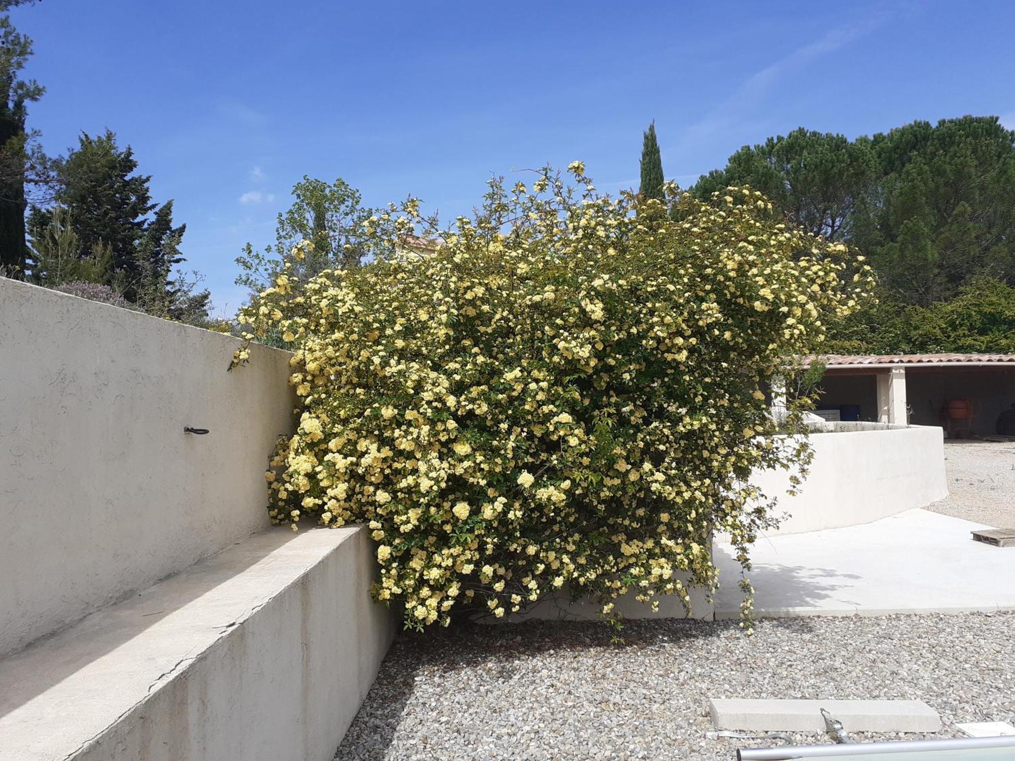 D'hotes, Climatisees La Borrellienne * Saint-Maximin-la-Sainte-Baume